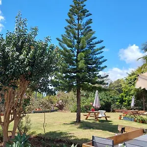 https://viewpoint-flat-matur.madeira-islandshotels.com